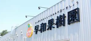 早和果樹園_アイキャッチ