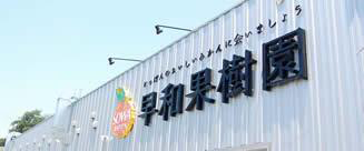 早和果樹園_アイキャッチ
